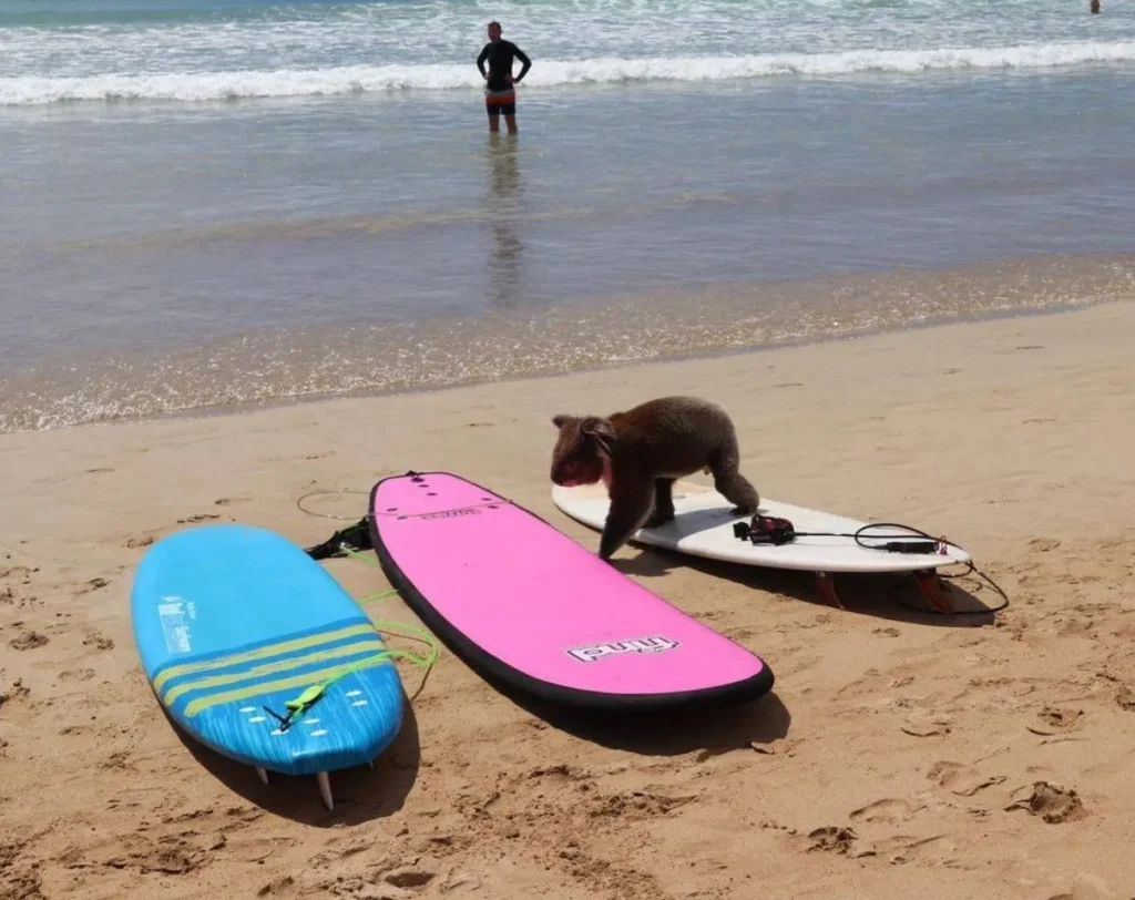 Designing Your Adventure Itinerary, Apollo Bay